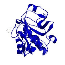 Image of CATH 1yk7