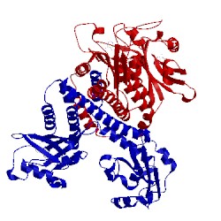 Image of CATH 1ykd