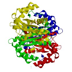 Image of CATH 1yki