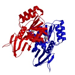 Image of CATH 1yl6