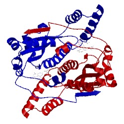 Image of CATH 1ylr