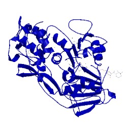 Image of CATH 1ymf