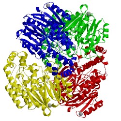 Image of CATH 1yni