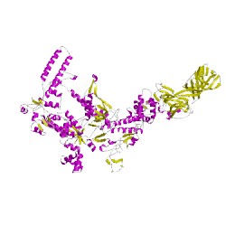 Image of CATH 1ynjD