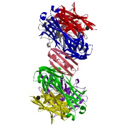 Image of CATH 1ynt