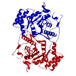 Image of CATH 1ypf