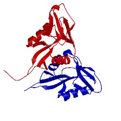Image of CATH 1ypq
