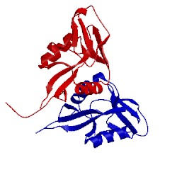 Image of CATH 1ypu