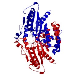 Image of CATH 1yra
