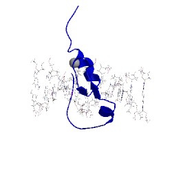 Image of CATH 1yui