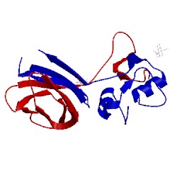 Image of CATH 1yuk