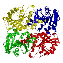 Image of CATH 1yum
