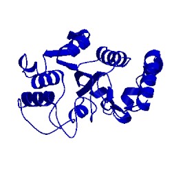 Image of CATH 1yuo