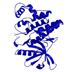 Image of CATH 1yvj