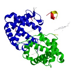 Image of CATH 1yvq