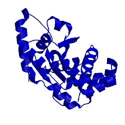 Image of CATH 1ywf