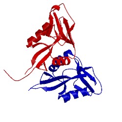 Image of CATH 1yxk