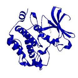 Image of CATH 1yxx