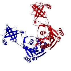 Image of CATH 1yy3