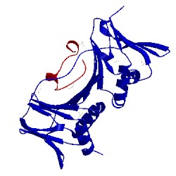 Image of CATH 1yyp