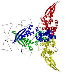 Image of CATH 1yyw