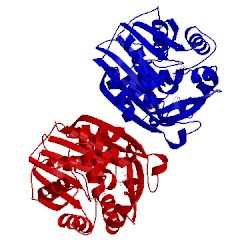 Image of CATH 1yz3