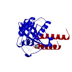 Image of CATH 1z0j
