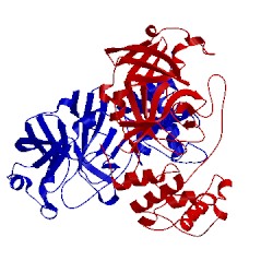 Image of CATH 1z1j
