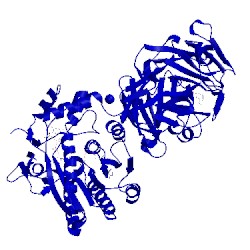 Image of CATH 1z45