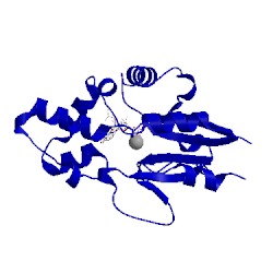 Image of CATH 1z4m