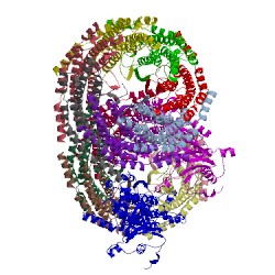 Image of CATH 1z7q