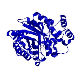 Image of CATH 1z89