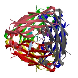 Image of CATH 1z9o