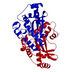 Image of CATH 1za5