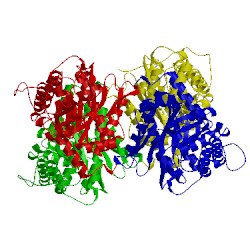 Image of CATH 1zah
