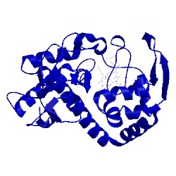 Image of CATH 1zbz