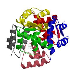 Image of CATH 1zei