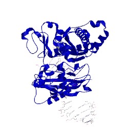 Image of CATH 1zet