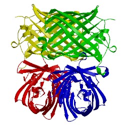 Image of CATH 1zgo