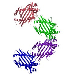 Image of CATH 1zhb