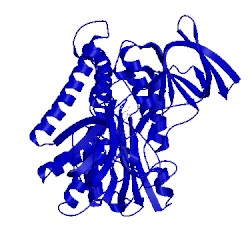 Image of CATH 1zkq