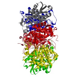 Image of CATH 1zl2