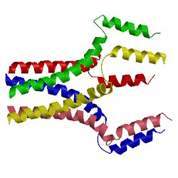 Image of CATH 1zll