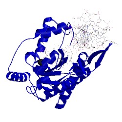 Image of CATH 1zm5