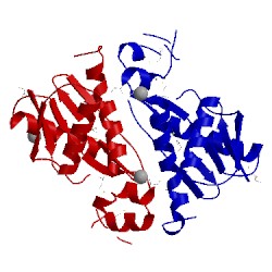 Image of CATH 1zno