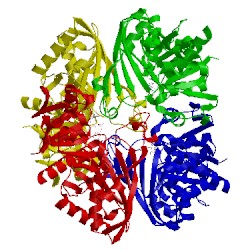 Image of CATH 1znq