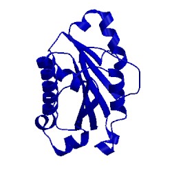 Image of CATH 1zon