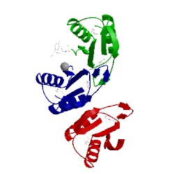 Image of CATH 1zpv