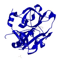 Image of CATH 1zpz