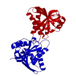 Image of CATH 1zr5